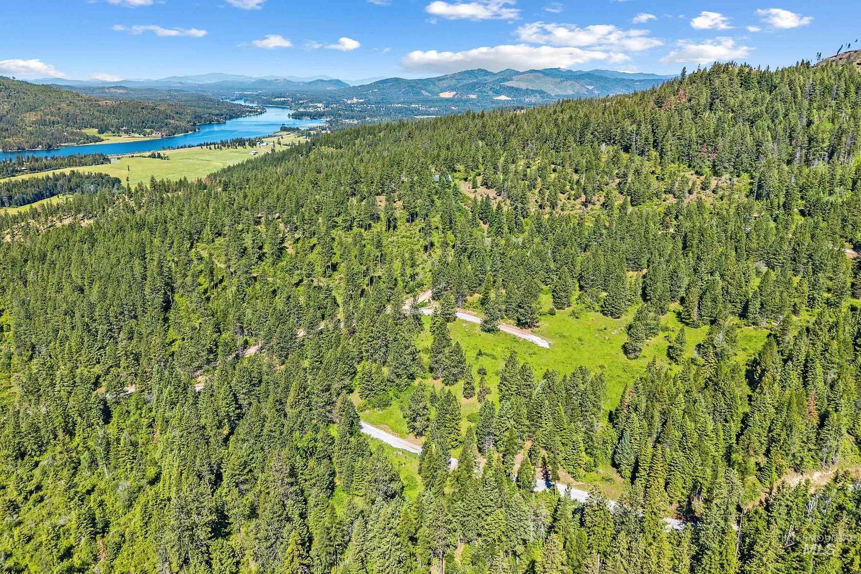 40 Acres of Land for Sale in Priest River, Idaho