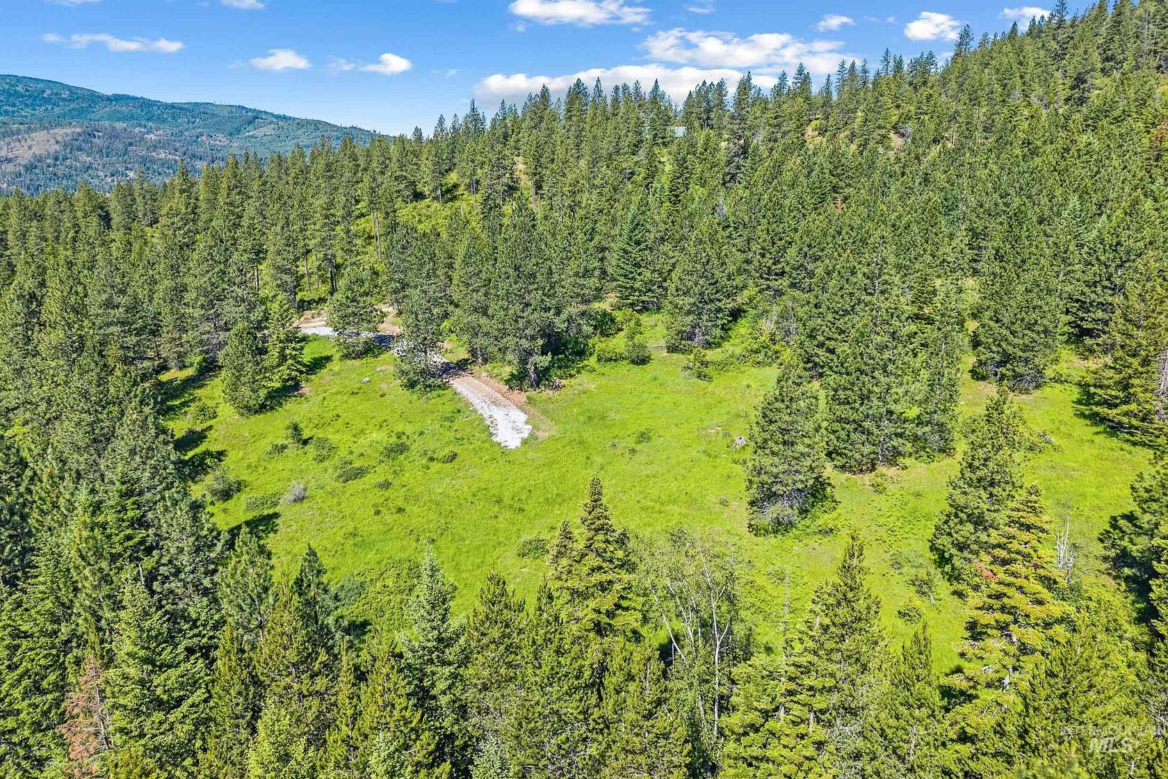 40 Acres of Land for Sale in Priest River, Idaho