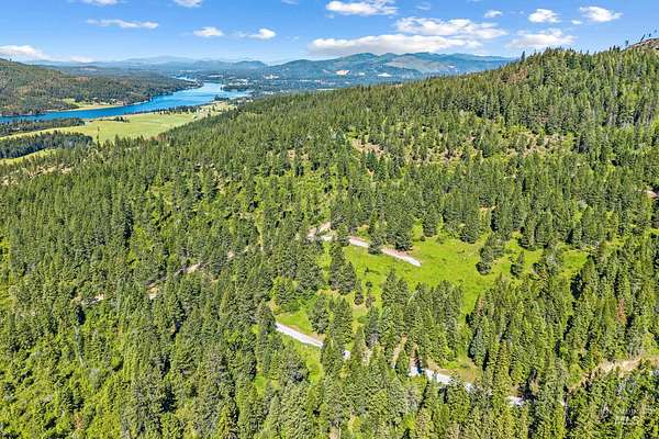 40 Acres of Land for Sale in Priest River, Idaho