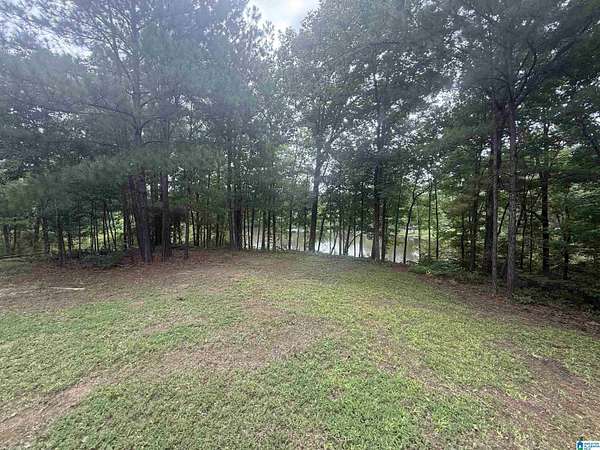 1 Acre of Residential Land for Sale in McCalla, Alabama