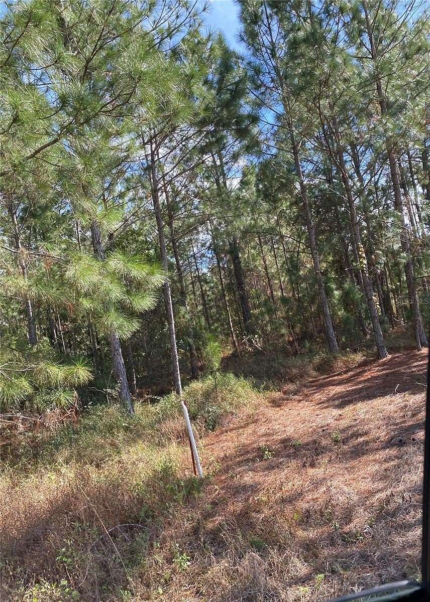 5.5 Acres of Land for Sale in Polk City, Florida