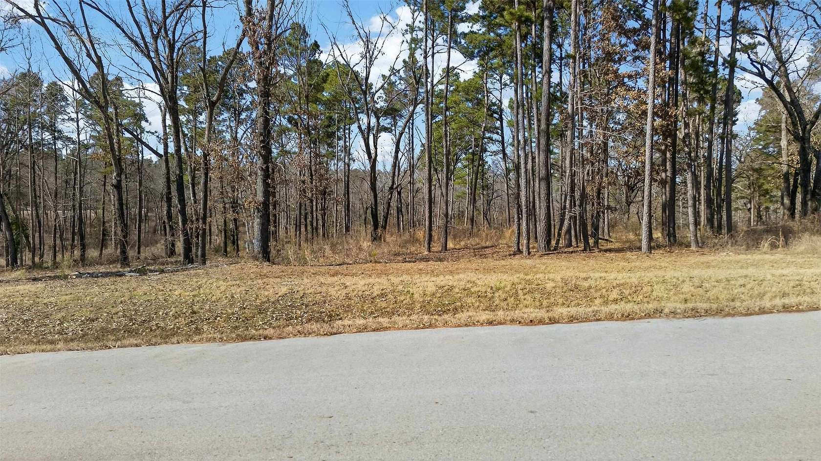 1.6 Acres of Residential Land for Sale in LaRue, Texas