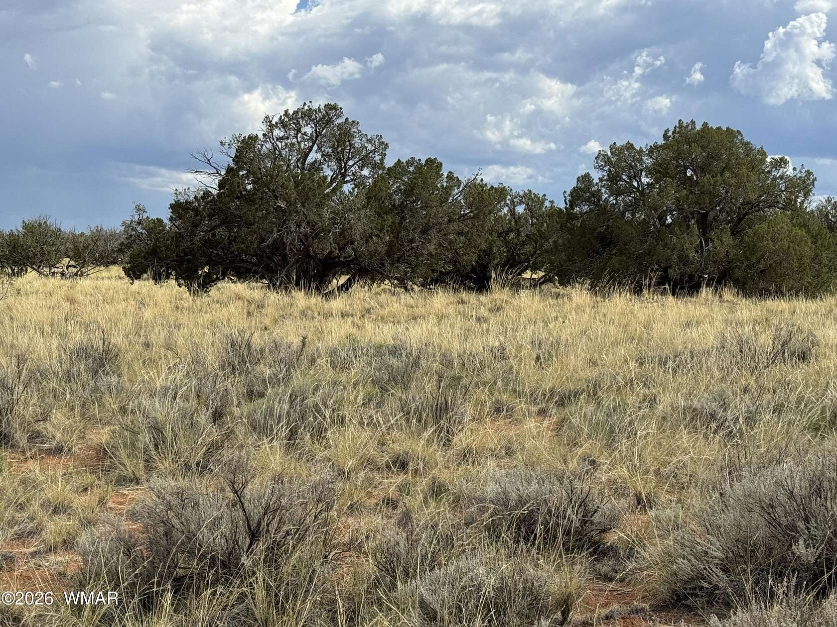 37.3 Acres of Recreational Land for Sale in Heber, Arizona
