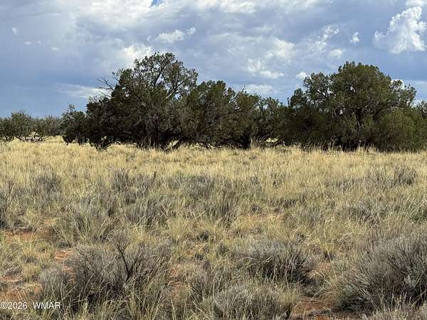 37.3 Acres of Recreational Land for Sale in Heber, Arizona