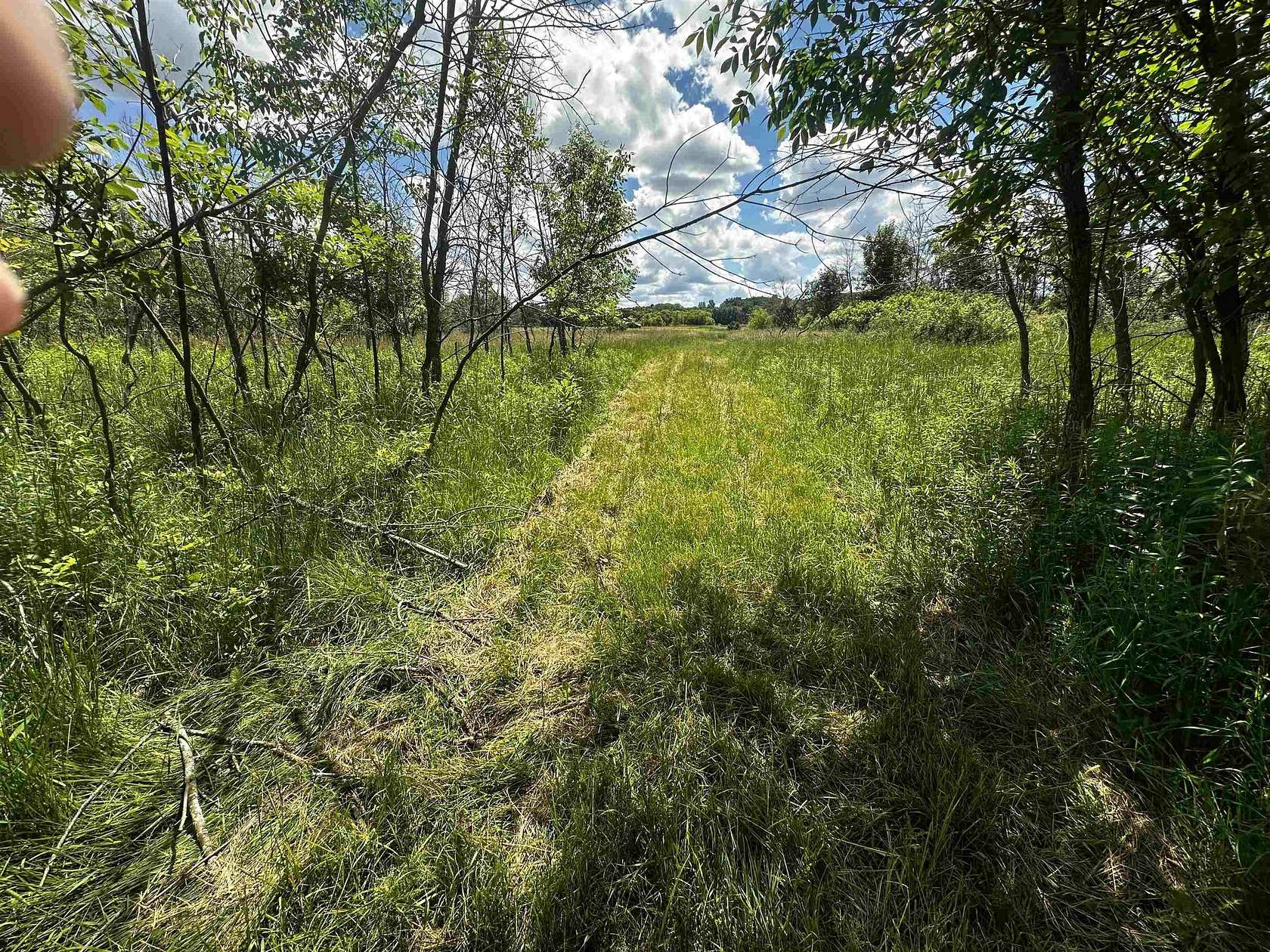 24.5 Acres of Land for Sale in Westfield, Wisconsin