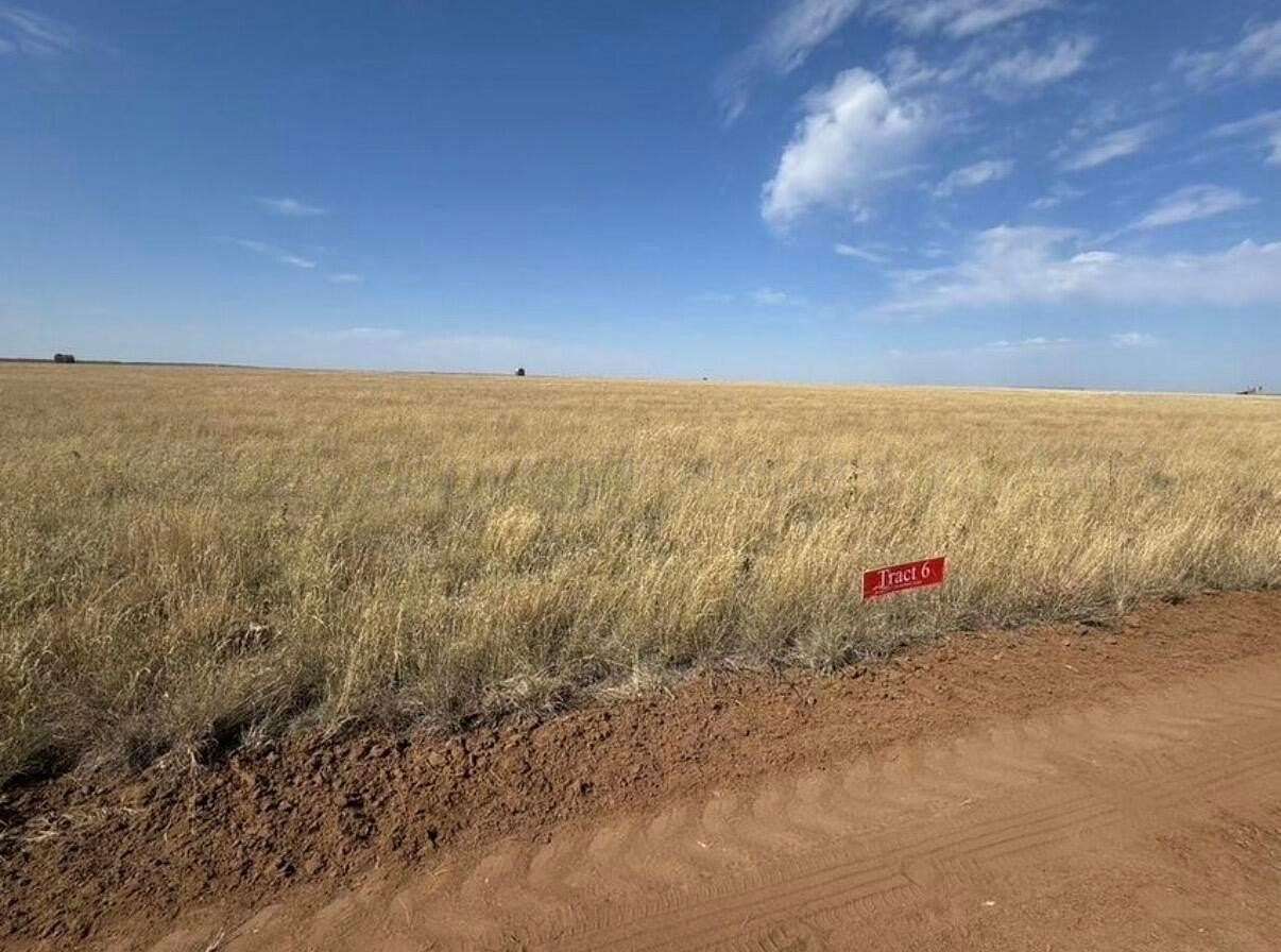 11 Acres of Land for Sale in Hartley, Texas
