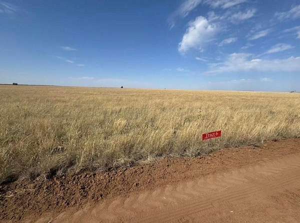 11 Acres of Land for Sale in Hartley, Texas