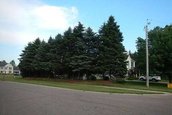 0.05 Acres of Residential Land for Sale in Stevensville, Michigan