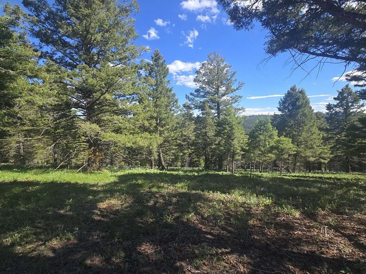 40 Acres of Recreational Land for Sale in Helmville, Montana