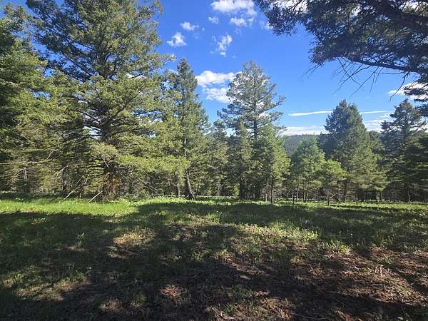 40 Acres of Recreational Land for Sale in Helmville, Montana
