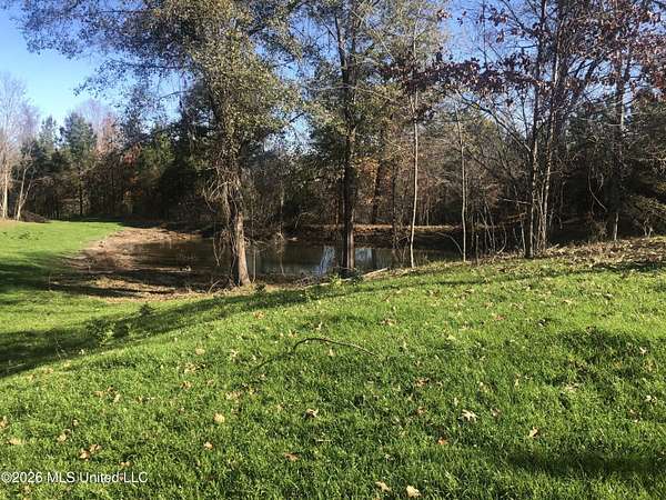 50.5 Acres of Recreational & Residential Land for Sale in Natchez, Mississippi