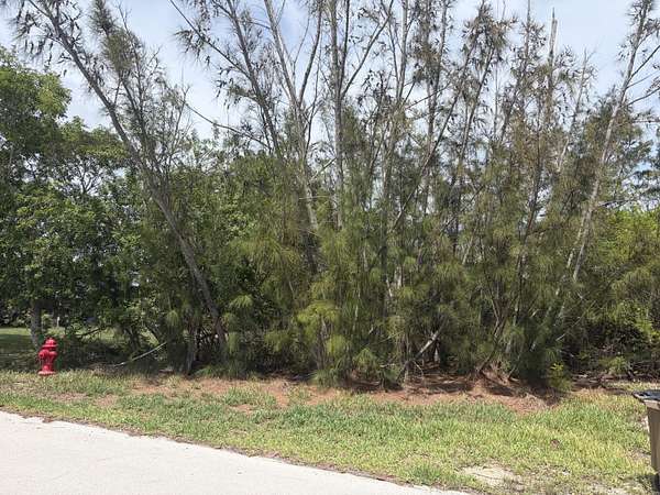 0.14 Acres of Residential Land for Sale in Big Pine Key, Florida