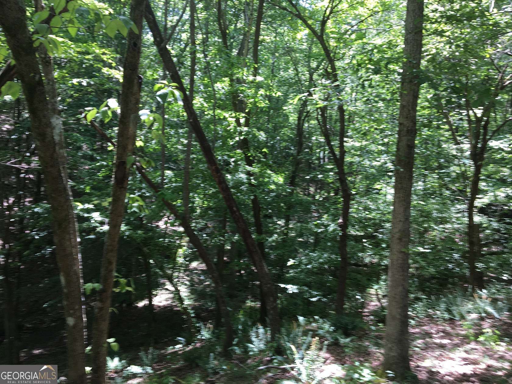 11 Acres of Land for Sale in Ball Ground, Georgia