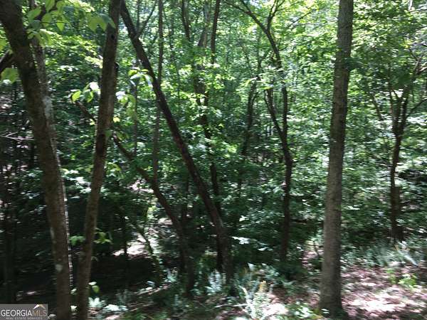 11 Acres of Land for Sale in Ball Ground, Georgia