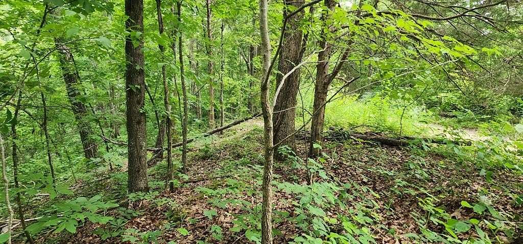 0.39 Acres of Land for Sale in Holladay, Tennessee