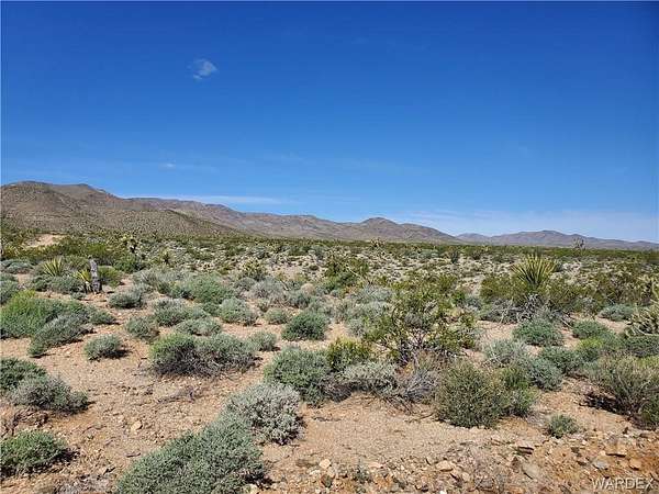 1 Acre of Residential Land for Sale in Meadview, Arizona