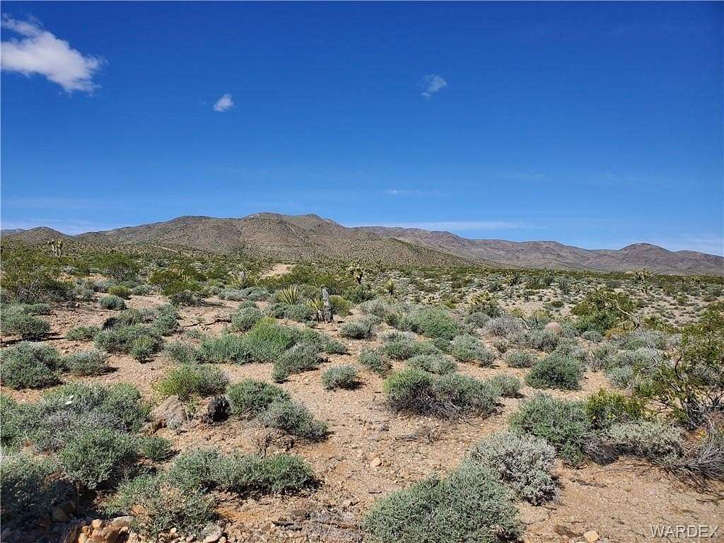 1 Acre of Residential Land for Sale in Meadview, Arizona