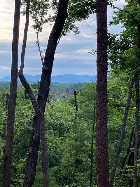 0.75 Acres of Residential Land for Sale in Ellijay, Georgia