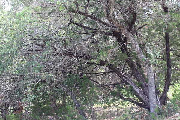 0.86 Acres of Residential Land for Sale in Canyon Lake, Texas