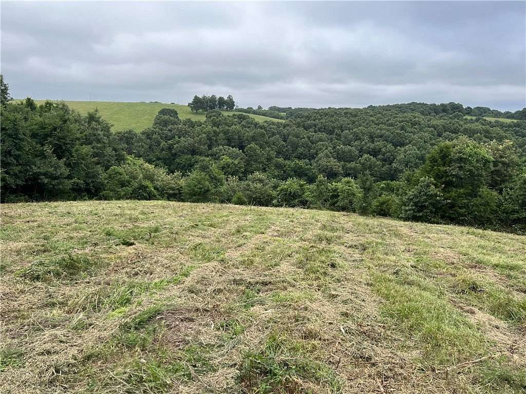 8.46 Acres of Land for Sale in Omaha, Arkansas