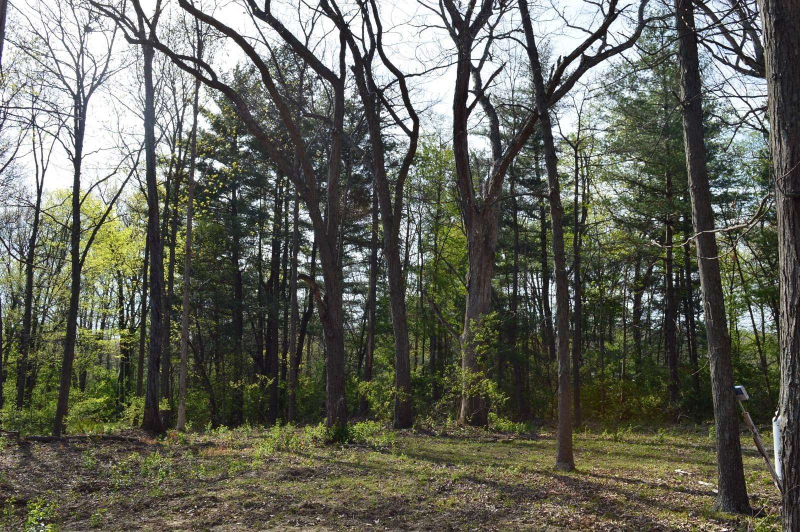 2.55 Acres of Residential Land for Sale in Fairfield, Illinois