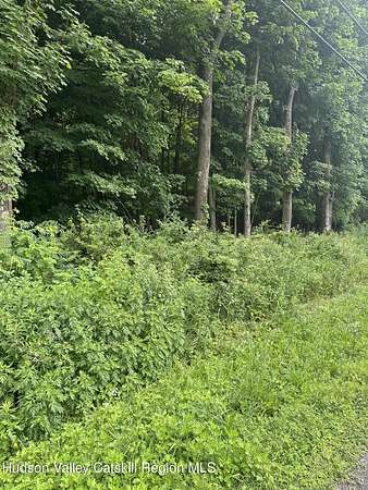 2.75 Acres of Residential Land for Sale in Cairo, New York
