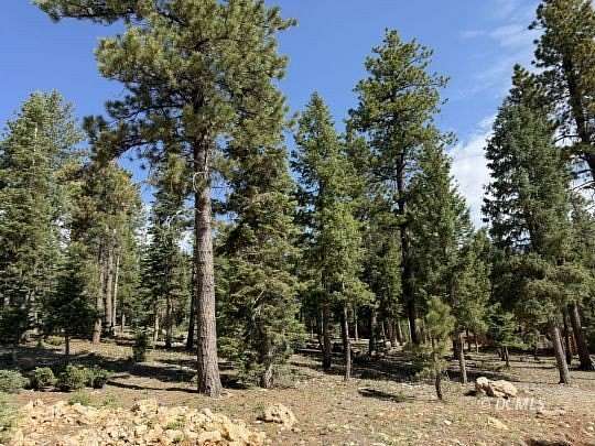 0.6 Acres of Residential Land for Sale in Duck Creek Village, Utah