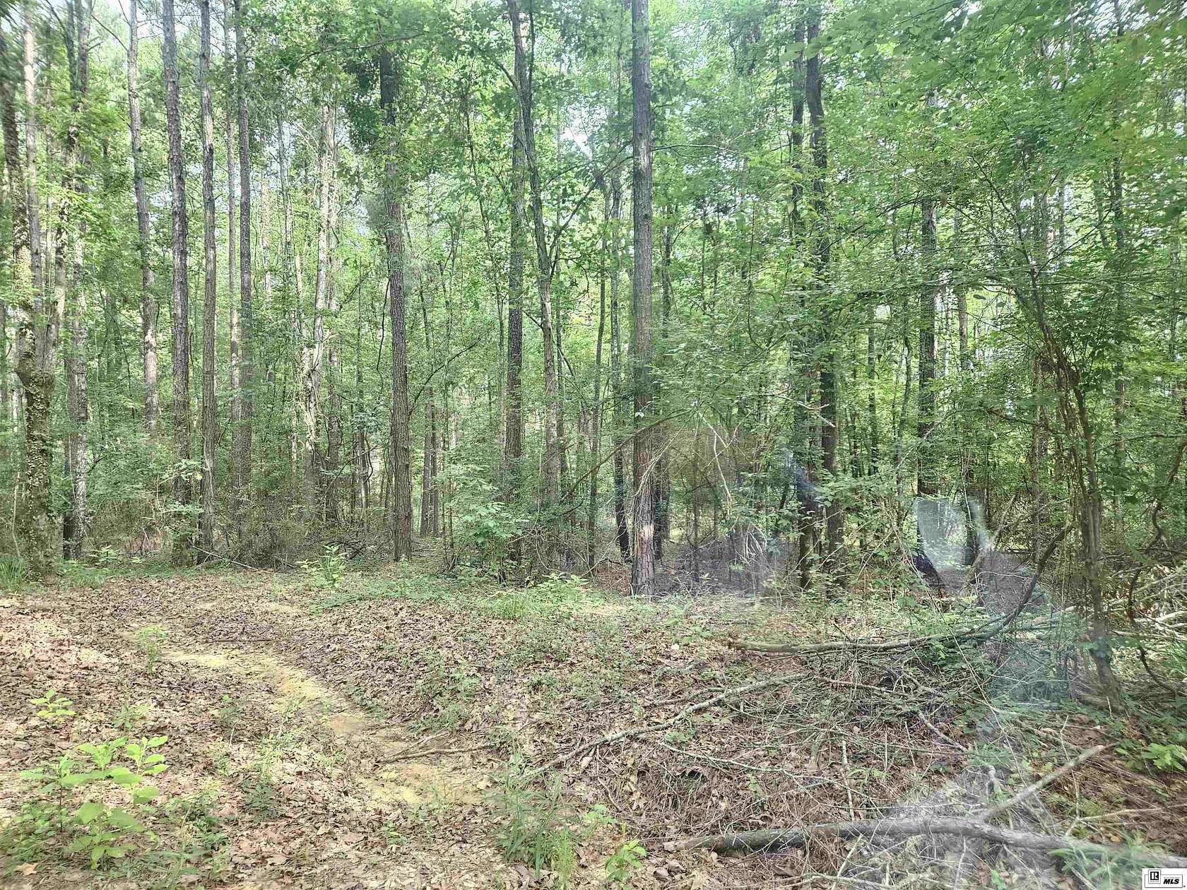 40 Acres of Recreational & Residential Land for Sale in Riverton, Louisiana