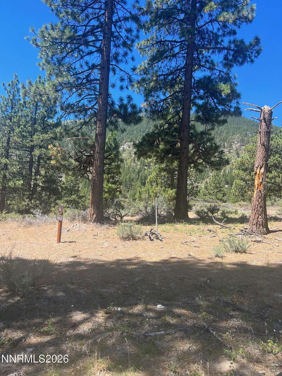 0.6 Acres of Residential Land for Sale in Carson City, Nevada