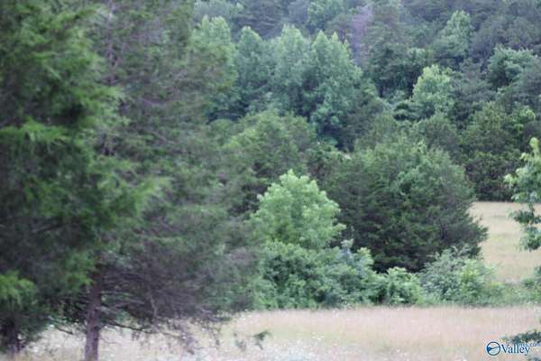 30 Acres of Recreational Land for Sale in Valley Head, Alabama