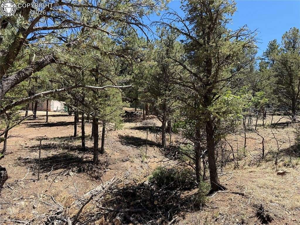 2.6 Acres of Land for Sale in Cotopaxi, Colorado