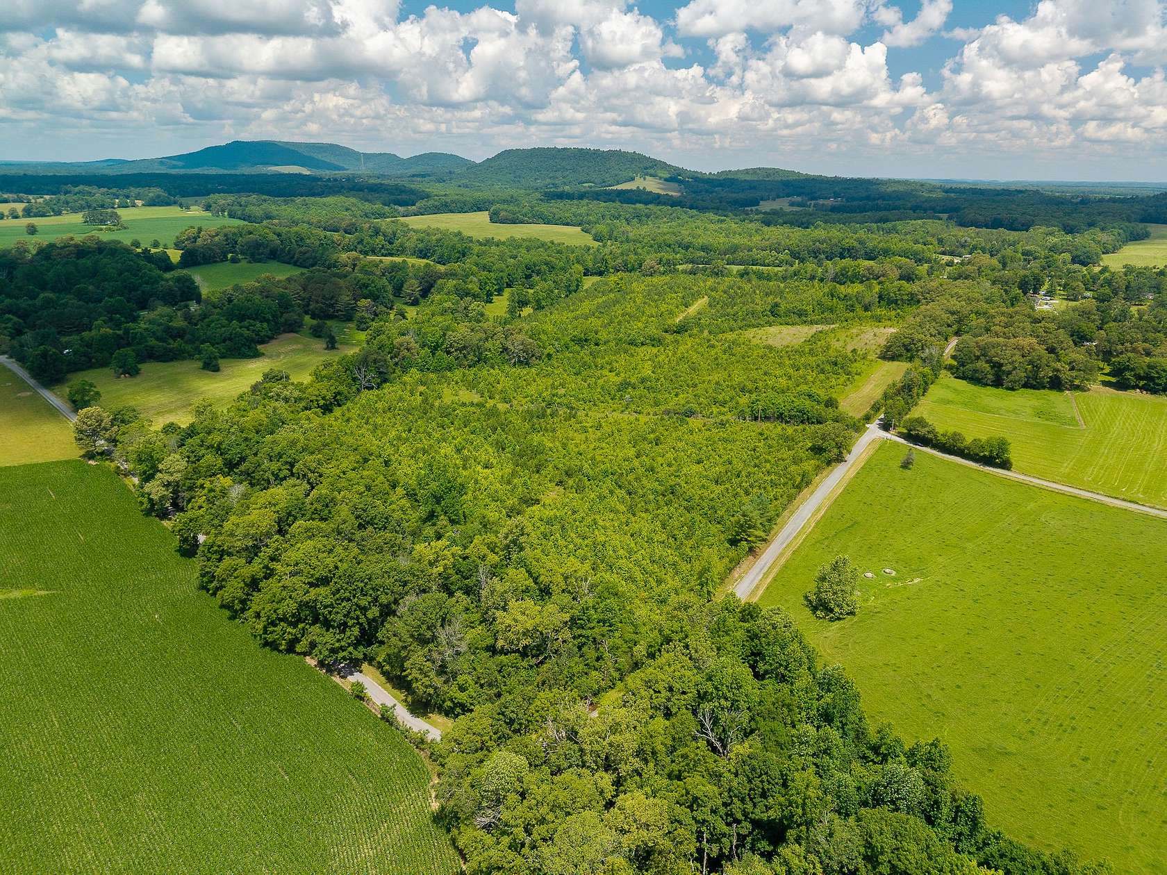 81 Acres of Agricultural & Residential Land for Auction in McMinnville, Tennessee