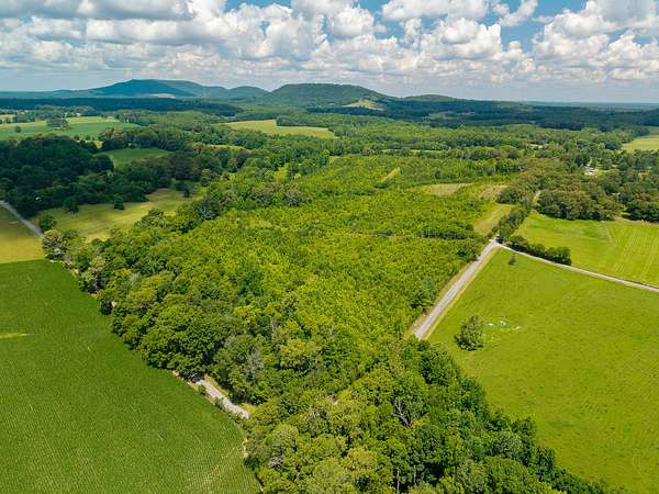 81 Acres of Agricultural & Residential Land for Auction in McMinnville, Tennessee