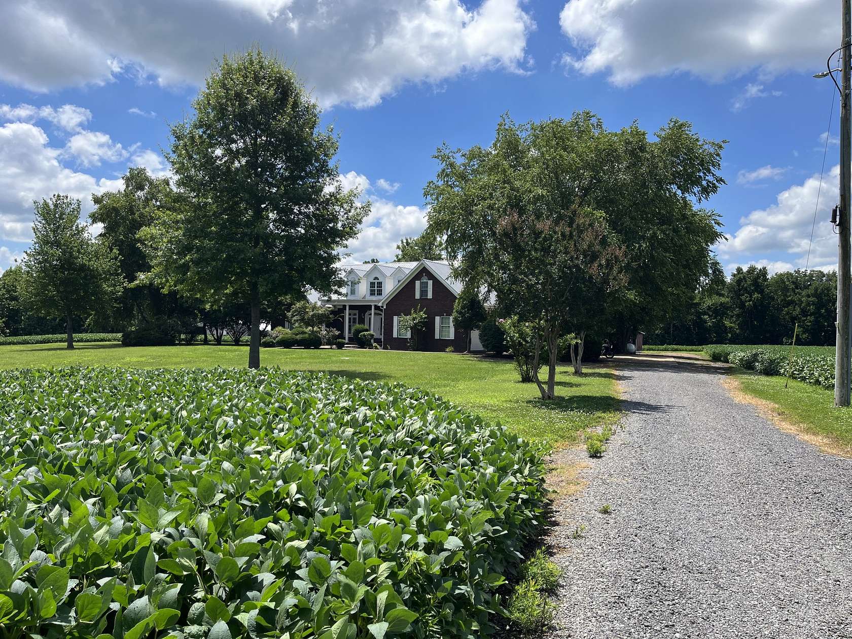 24 Acres of Agricultural Land with Home for Sale in Hornbeak, Tennessee