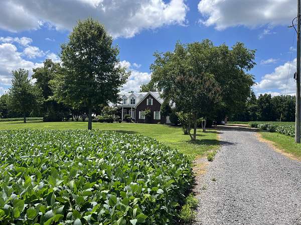 24 Acres of Agricultural Land with Home for Sale in Hornbeak, Tennessee