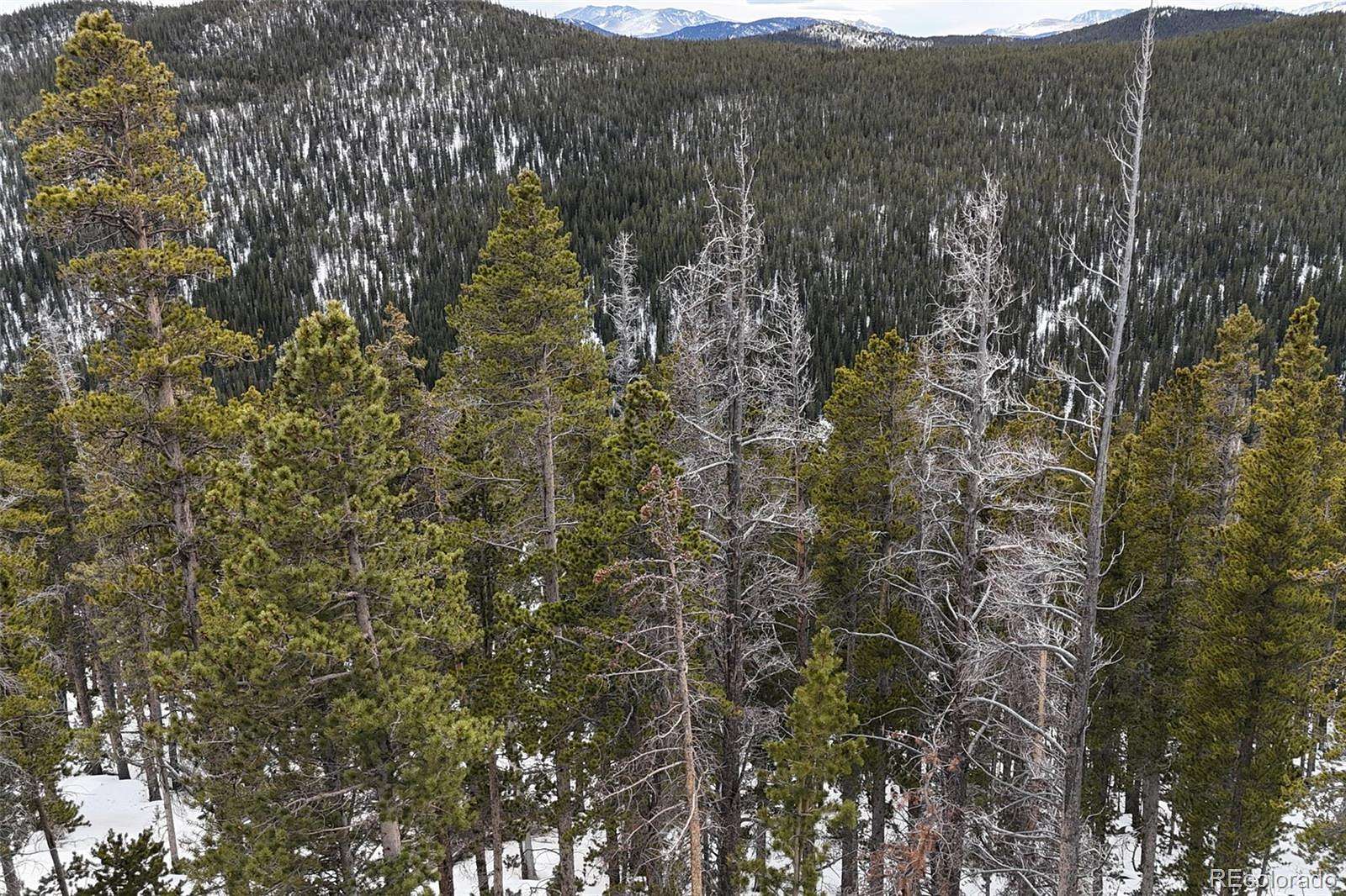 1.28 Acres of Residential Land for Sale in Idaho Springs, Colorado