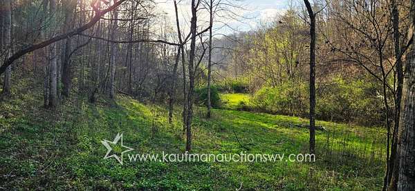 113 Acres of Recreational Land for Auction in Alderson, West Virginia