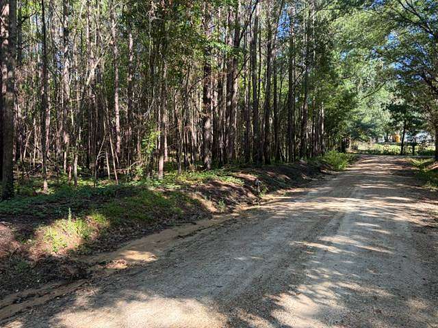 1.1 Acres of Residential Land for Sale in Dozier, Alabama