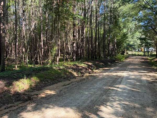 1.1 Acres of Residential Land for Sale in Dozier, Alabama
