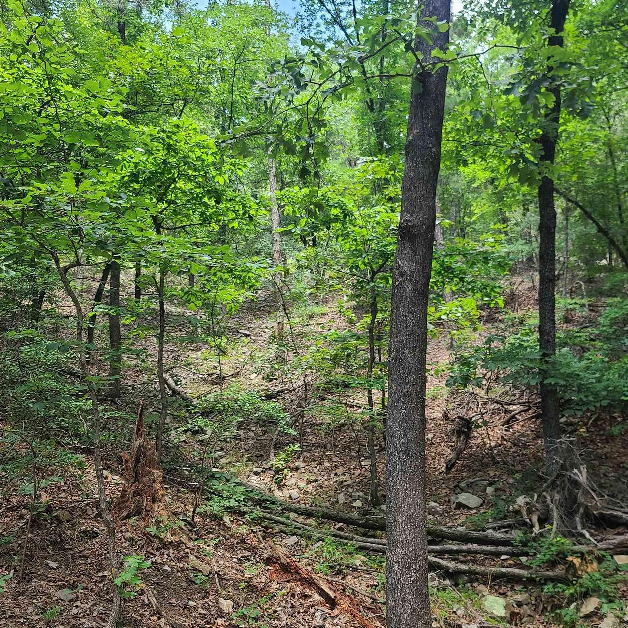 16.5 Acres of Recreational & Residential Land for Sale in Ward, Arkansas