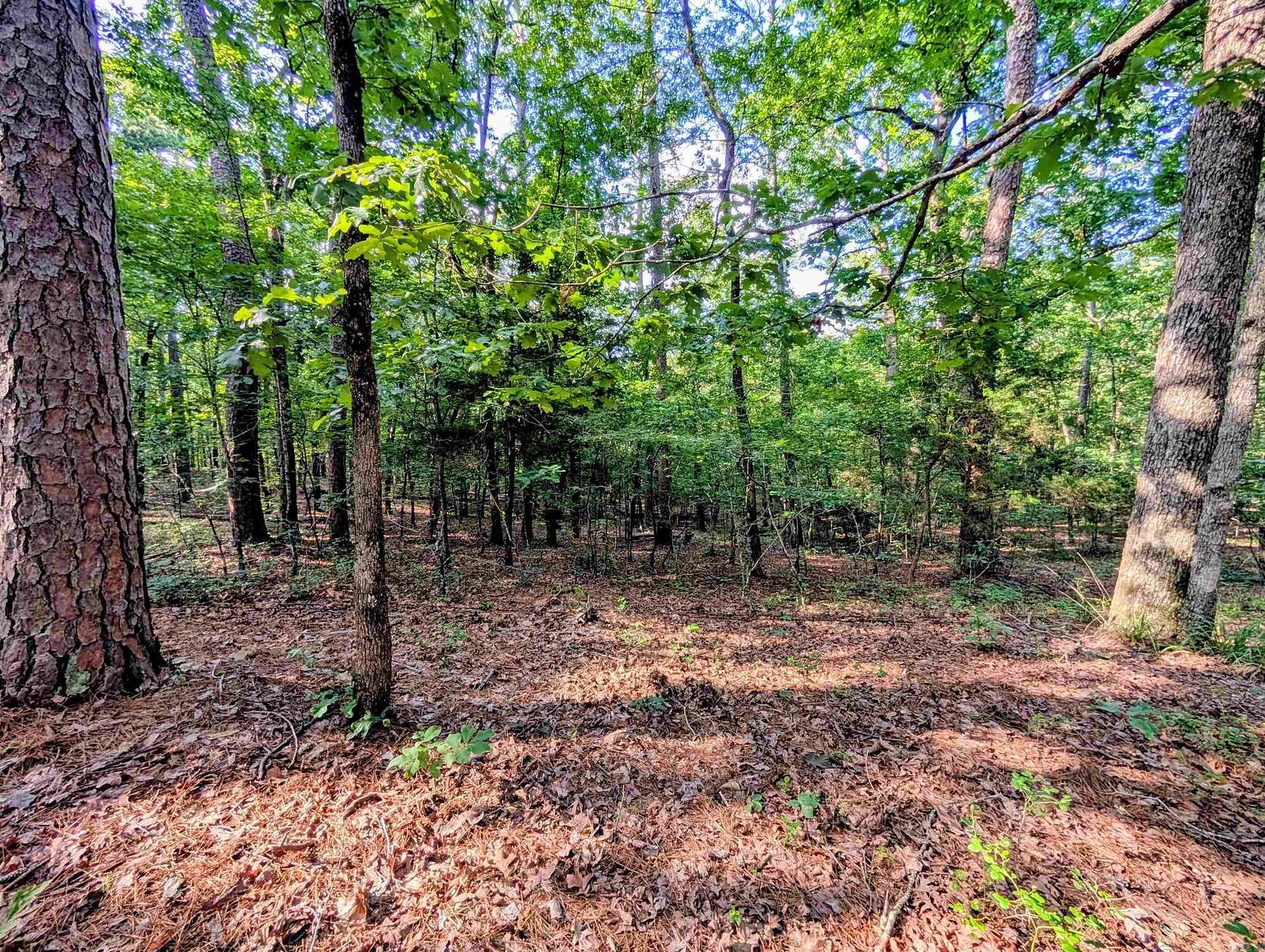 7.26 Acres of Land for Sale in Mena, Arkansas