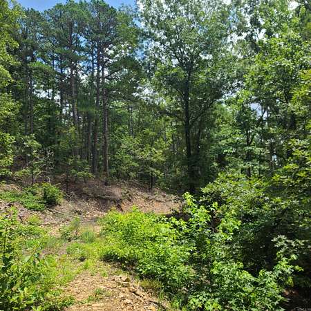 61 Acres of Recreational & Residential Land for Sale in Hot Springs, Arkansas