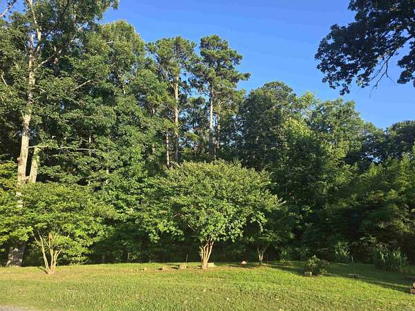 1 Acre of Residential Land for Sale in Hot Springs, Arkansas