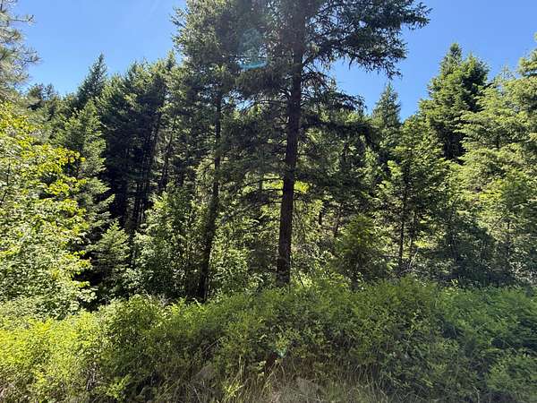 19.8 Acres of Recreational & Residential Land for Sale in Wauconda, Washington