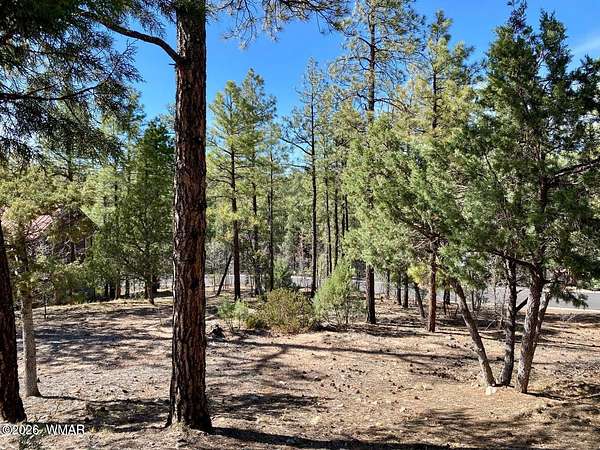 0.3 Acres of Residential Land for Sale in Show Low, Arizona