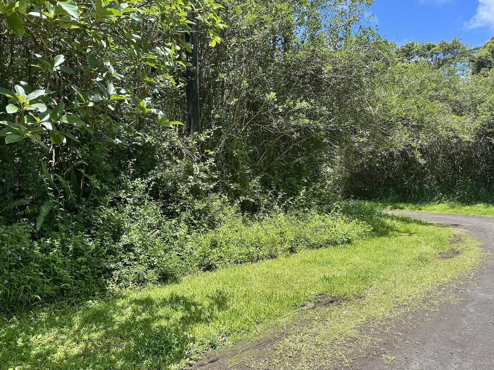 0.22 Acres of Residential Land for Sale in Pahoa, Hawaii