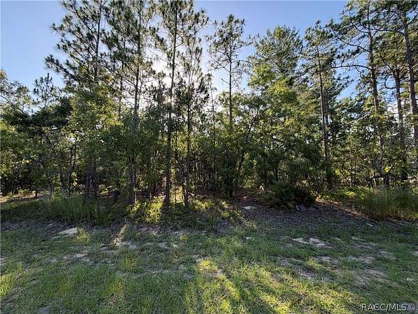 1.3 Acres of Residential Land for Sale in Wildwood, Florida