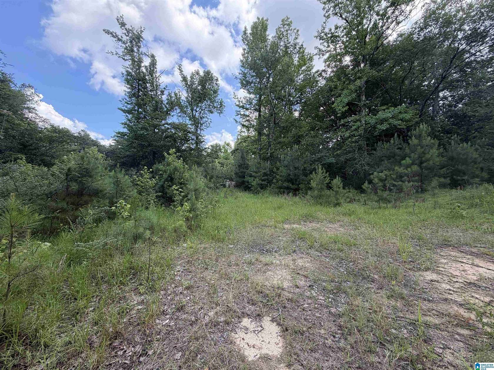 3.5 Acres of Land for Sale in Warrior, Alabama