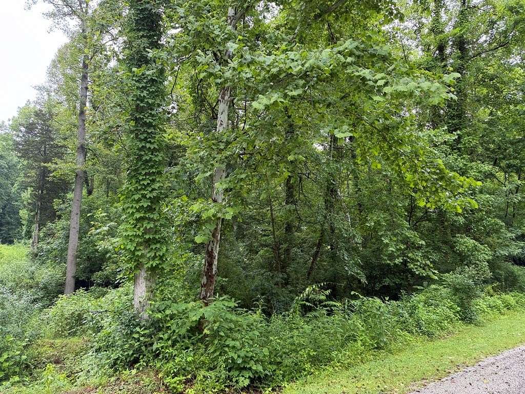2.45 Acres of Residential Land for Sale in Catlettsburg, Kentucky