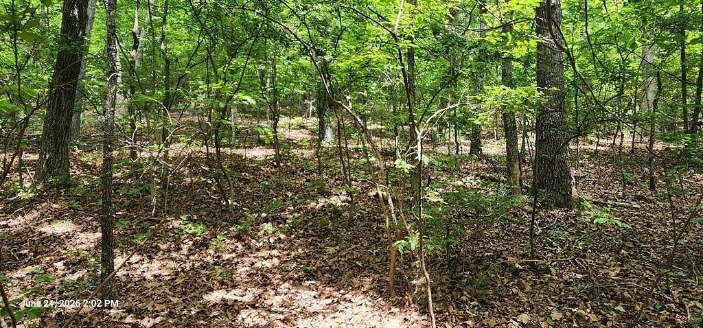 0.36 Acres of Land for Sale in Holladay, Tennessee